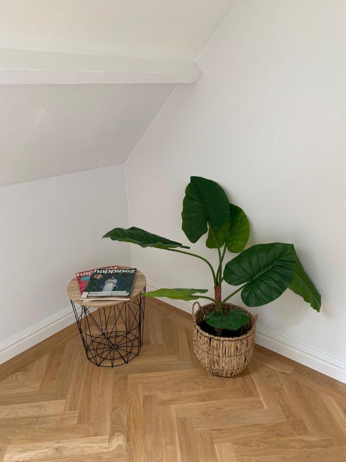 Scheldewegel Vakantiehuis Schelderode Exteriér fotografie